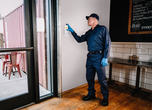 Seclira® Fly Bait 500 ml