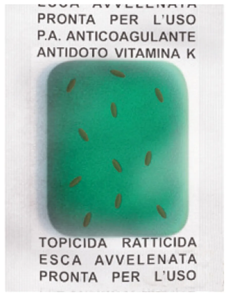 Murin Dife Pasta Girasole – Pastenköder – 10 kg