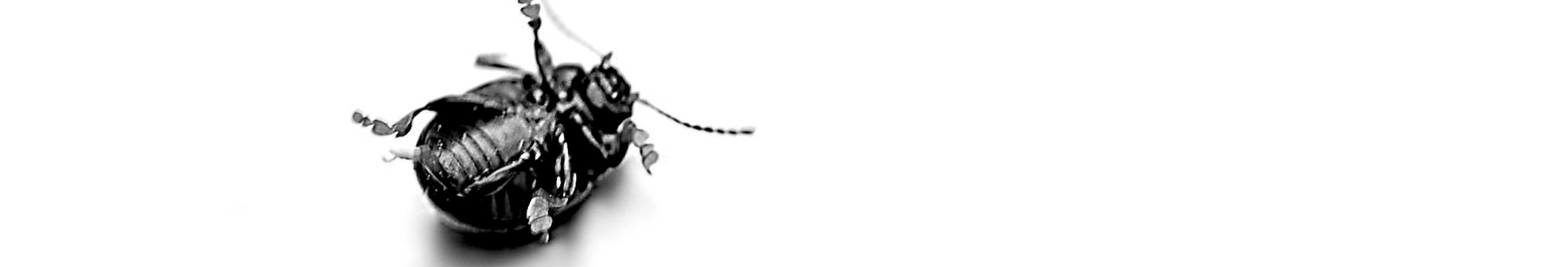 a3c91db448ea42c96ca49f4d57f9193a12c92d16 a3c91db448ea42c96ca49f4d57f9193a12c92d16