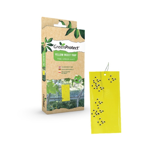 Insektenfalle Gelbtafe