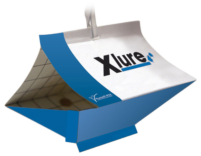 Klebefalle "XLure RTU" zum Mottenmonitoring